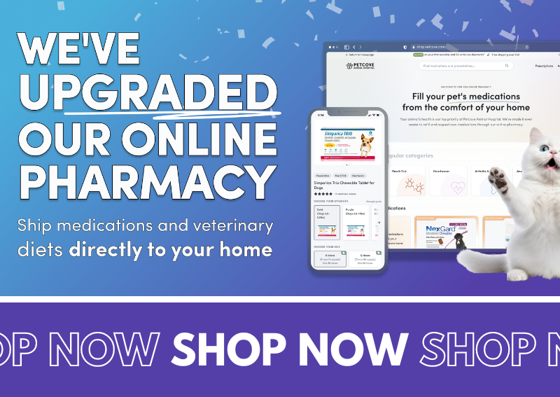 Carousel Slide 3: Online-Pharmacy